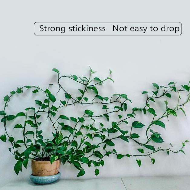 💥Limited Time Offer💥Plant Climbing Wall Clip