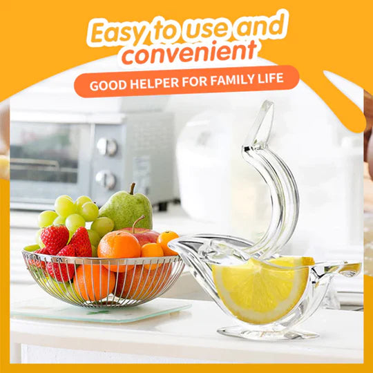 🔥Price Reduce Promotion!💝Transparent Manual Juicer(60% OFF)