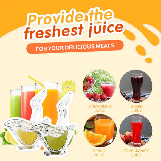 🔥Price Reduce Promotion!💝Transparent Manual Juicer(60% OFF)