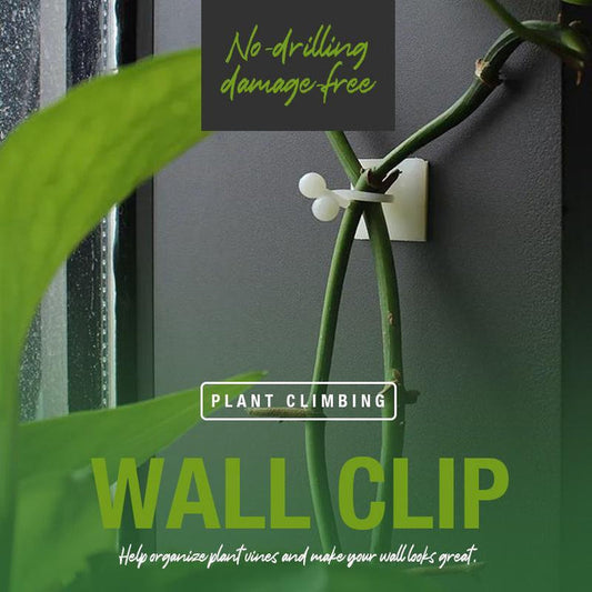💥Limited Time Offer💥Plant Climbing Wall Clip