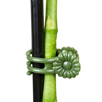 20Pcs Let the plant grow healthily - Plant Clips
