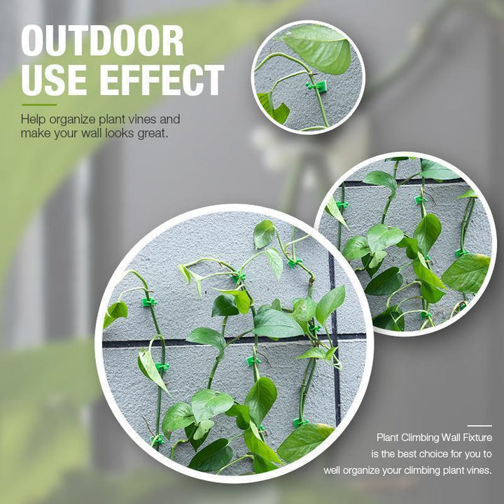 💥Limited Time Offer💥Plant Climbing Wall Clip