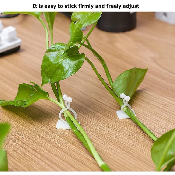 💥Limited Time Offer💥Plant Climbing Wall Clip