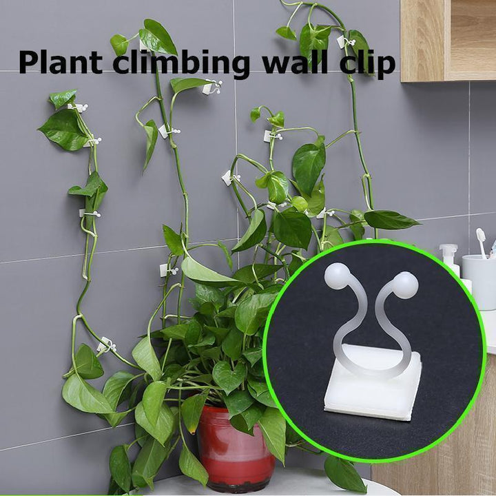 💥Limited Time Offer💥Plant Climbing Wall Clip