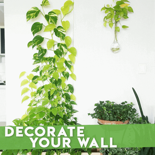 💥Limited Time Offer💥Plant Climbing Wall Clip